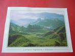 ansichtkaart Cameron Highlands Maleisie, Verzamelen, Ansichtkaarten | Buitenland, Gelopen, Ophalen of Verzenden, Buiten Europa