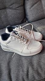 Dianne Beekman gezondheidssneakers nieuw., Kleding | Dames, Schoenen, Wit, Nieuw, Ophalen of Verzenden, Sneakers of Gympen