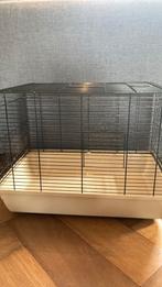 Hamsterkooi, Dieren en Toebehoren, 60 tot 90 cm, Kooi, Gebruikt, Ophalen