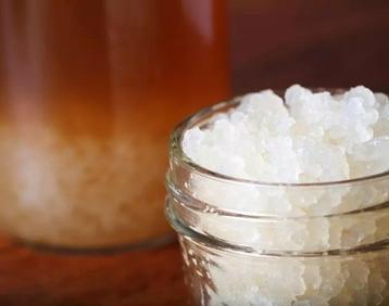 BIO waterkefirkorrels 40 gram - verzending mogelijk! beschikbaar voor biedingen