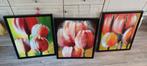 Tulpen schilderijen met lijst, Antiek en Kunst, Ophalen