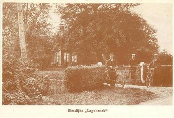 (388-028-013) Blesdijke (reprint) beschikbaar voor biedingen