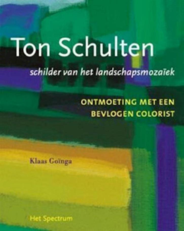Ton Schulten, schilder van het landschapsmozaïek, Boeken, Kunst en Cultuur | Beeldend, Zo goed als nieuw, Ophalen of Verzenden