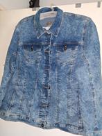 Spijkerjack, katoen, maat 52, Ophalen, Nieuw, Maat 46/48 (XL) of groter, Blauw