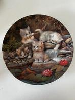 Porselein bordje, Ophalen