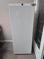 Hoge koelkast 243L (223+20), Witgoed en Apparatuur, Vriezers en Diepvrieskisten, Ophalen, Zo goed als nieuw, Minder dan 60 cm