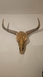 Longhorn / schedel / decoratie / by boo, Ophalen of Verzenden, Zo goed als nieuw