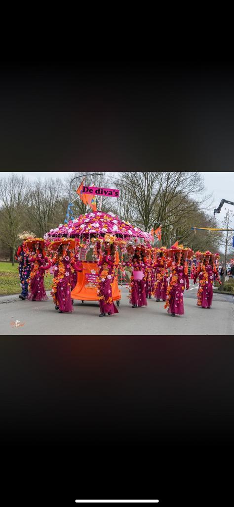 Carnavals loopgroep 9 personen, Kleding | Dames, Carnavalskleding en Feestkleding, Zo goed als nieuw, Kleding, Carnaval, Ophalen of Verzenden