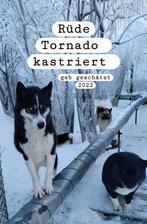Reu en teef zoeken een thuis asielhondjes, Dieren en Toebehoren, Honden | Niet-rashonden, Particulier, Buitenland, Parvo, Meerdere