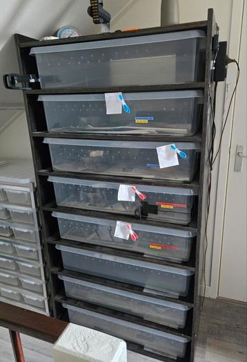 Rack voor reptielen, slangen  beschikbaar voor biedingen