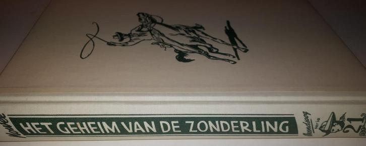 Arendsoog 21: Het geheim van de zonderling - Paul Nowee, Boeken, Kinderboeken | Jeugd | 13 jaar en ouder, Gelezen, Ophalen of Verzenden