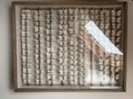 Antieke vlindervitrine - vlinder verzameling  uit 1943, Verzamelen, Dierenverzamelingen, Ophalen, Gebruikt, Insect, Opgezet dier