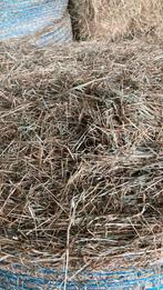 Duits weidehooi/paarden hooi laag in suikers, Ophalen of Verzenden, Vee