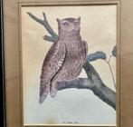 Prent van een uil, Ophalen of Verzenden