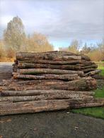 Stamhout,Beukenstammen,Beukenhout,Loofhout,Boomstammen, Tuin en Terras, Haardhout, 6 m³ of meer, Ophalen of Verzenden, Beukenhout