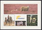 Weert 4 luik Weerterbergen Gran Dorado Group Schapen Paarden, Verzenden, 1980 tot heden, Gelopen, Limburg