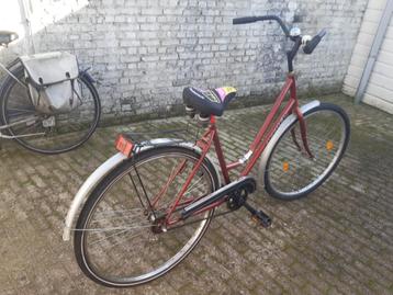 meerdere fietsen te koop  beschikbaar voor biedingen