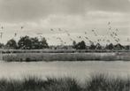 Dwingeloo  Meeuwenplas, Verzenden, Ongelopen, Drenthe