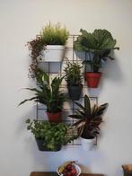 Stijlvol metalen wandrek voor planten / verticale tuin, Ophalen of Verzenden, Overige soorten, Minder dan 100 cm