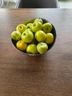 Kunst appels, Ophalen of Verzenden, Zo goed als nieuw