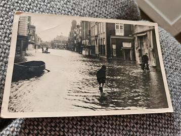 Watersnood dordrecht ? beschikbaar voor biedingen