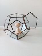 Sier/Etaleerkastje/glas. Bolvorm.Vintage., Ophalen of Verzenden