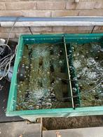 3 kamer filter met toebehoren, Dieren en Toebehoren, Vissen | Vijvervissen, Karper of Koi