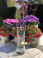 3 speciaalbier glazen - Zillertal - Warsteiner - Tyrol, Verzamelen, Glas en Borrelglaasjes, Ophalen, Zo goed als nieuw, Bierglas