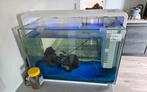 Superfish Aquarium Home 60 (wit), Dieren en Toebehoren, Ophalen, Zo goed als nieuw, Leeg aquarium