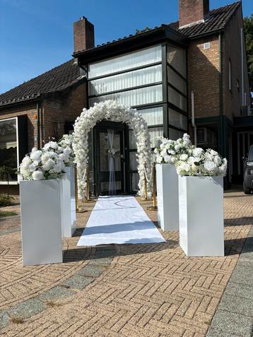 Bloemenboog/ ghorzja setting backdrop beschikbaar voor biedingen