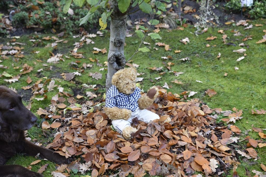 Teddybeer Hubeertje, Ophalen of Verzenden, Zo goed als nieuw, Stoffen beer, Overige merken
