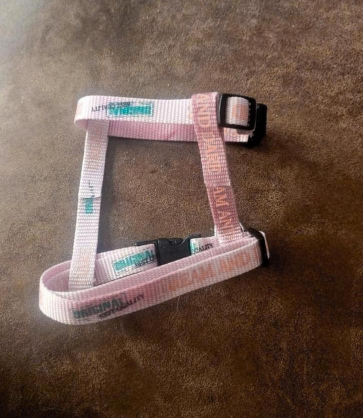 NIEUW volwassen kattentuigje volledig in maat verstelbaar, Dieren en Toebehoren, Kattenhalsbanden en Penningen, Nieuw, Ophalen of Verzenden