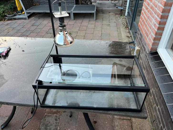 Terrarium met lamp (schildpad), Dieren en Toebehoren, Reptielen en Amfibieën | Toebehoren, Gebruikt, Terrarium of Paludarium, Ophalen