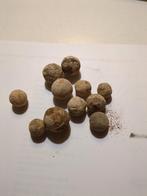 Musket kogels, Verzamelen, Ophalen of Verzenden, Landmacht, Nederland