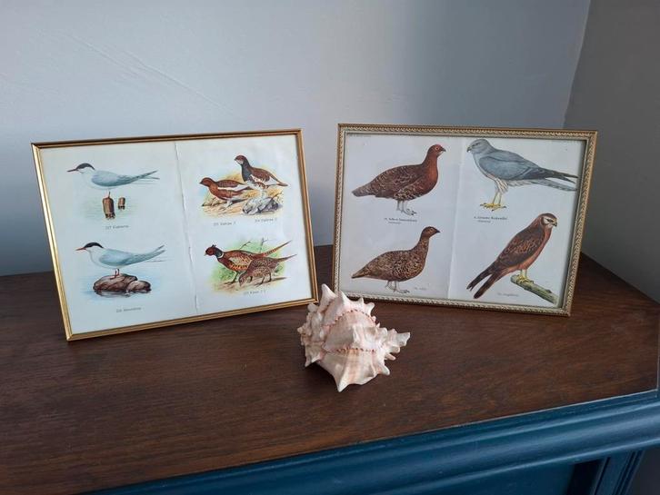 Vintage messing Jyden fotolijstjes, Huis en Inrichting, Woonaccessoires | Lijsten, Gebruikt, Minder dan 50 cm, Minder dan 50 cm