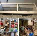 Grote hamsterkooi met veel toebehoren, Dieren en Toebehoren, Knaagdieren en Konijnen | Hokken en Kooien, Ophalen, Kooi, Hamster