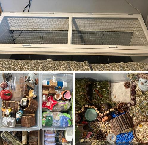 Grote hamsterkooi met veel toebehoren, Dieren en Toebehoren, Knaagdieren en Konijnen | Hokken en Kooien, Gebruikt, Kooi, 60 tot 90 cm