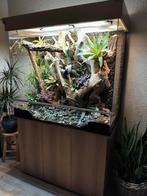 Paludarium (terrarium), Dieren en Toebehoren, Ophalen, Zo goed als nieuw, Terrarium of Paludarium