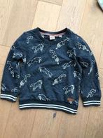 Gave trui van Sturdy met geborduurde vossen maat 104 -netjes, Gebruikt, Trui of Vest, Sturdy, Ophalen of Verzenden