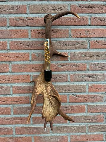 Geweien geweienlamp jacht Veluwe geweien edelhert wandlamp. beschikbaar voor biedingen
