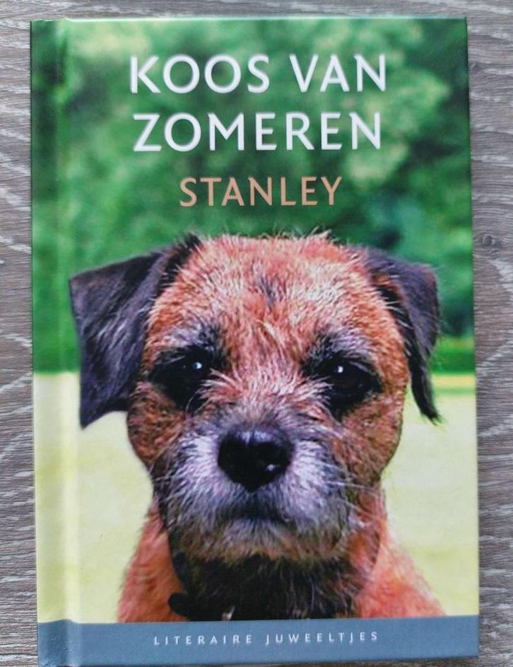 Koos van Zomeren - Stanley - Literaire Juweeltjes, Boeken, Romans, Zo goed als nieuw, Ophalen of Verzenden