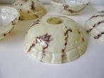 Hanglamp of staande lamp opaline glas set 5 kapjes, Ophalen of Verzenden