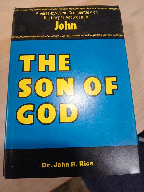 John: The Son of God. A commentary, Boeken, Godsdienst en Theologie, Zo goed als nieuw, Christendom | Katholiek, Christendom | Protestants