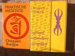 2 x boeken van Chögyam Trungpa, Ophalen of Verzenden, Gelezen, Meditatie of Yoga