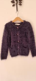 H&M vest blauw maat 110 116, Meisje, Trui of Vest, H&M, Ophalen of Verzenden