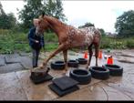 Verzorgpaard aangeboden Rhenen Veenendaal, Dieren en Toebehoren, 1 paard of pony