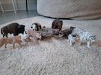 Schleich Dieren Set - 11 stuks, Ophalen of Verzenden, Zo goed als nieuw, Beeldje of Figuurtje