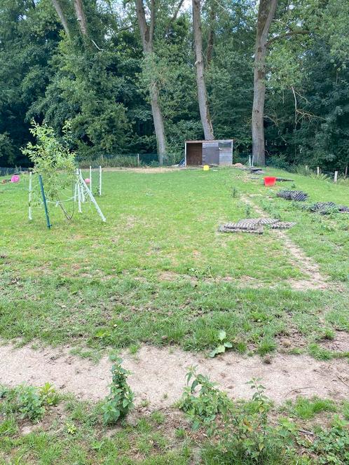 Weilandje te huur nuth, Dieren en Toebehoren, Stalling en Weidegang