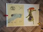 Schoolplaten lichaam, Ophalen, Natuur en Biologie