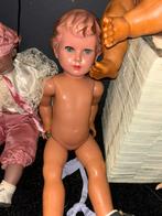 Schildpad, Verzamelen, Ophalen of Verzenden, Zo goed als nieuw, Pop